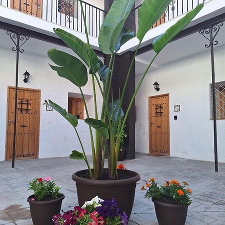 Suite San Mateos 15 ヘレス エクステリア 写真